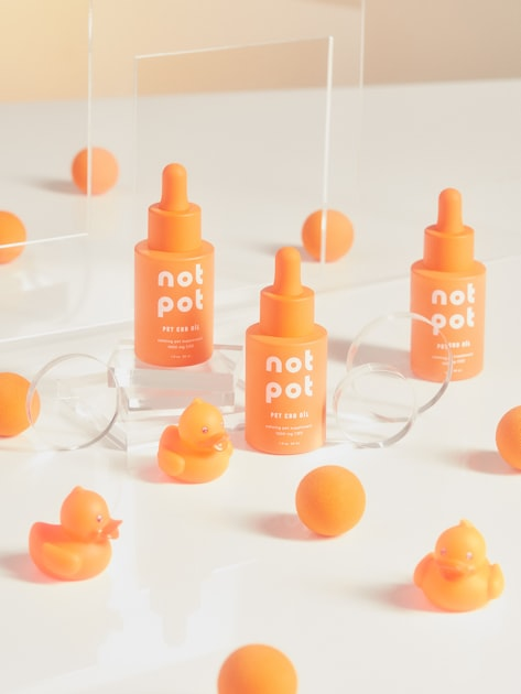 Designing a Modern E-Commerce Experience